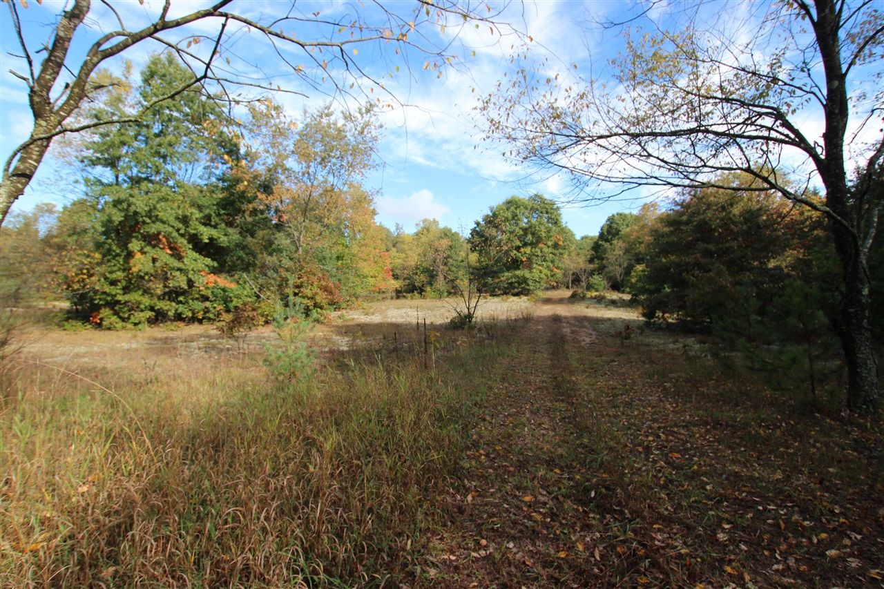 Photo 1 of Sale Pending at River Ranch Rd, Hersey, MI 49639 | MLS# 70561114 | Listing updated on 2026-10-06