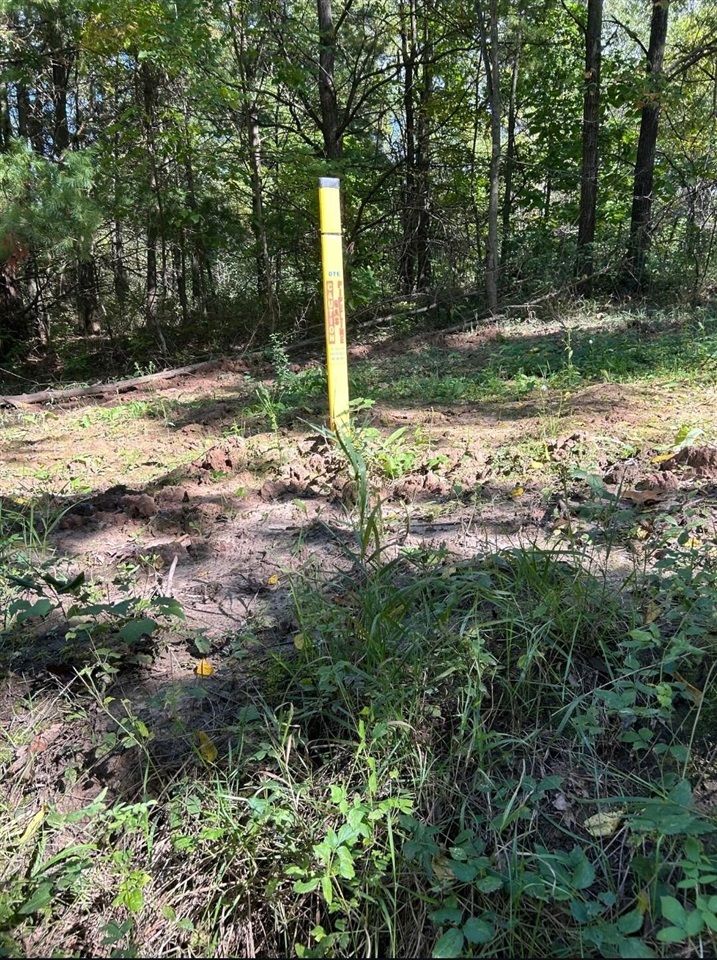 Photo 2 of Sale Pending at Polp Centerline, Newaygo, MI 49337 | MLS# 70561119 | Listing updated on 2026-10-03
