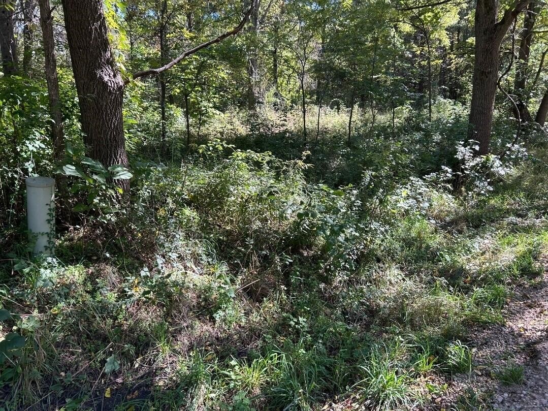 Photo 3 of Sale Pending at Polp Centerline, Newaygo, MI 49337 | MLS# 70561119 | Listing updated on 2026-10-03