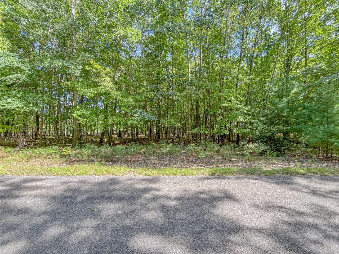 Photo 1 of Land for sale at 6336 Abbey Ln, Stanwood, MI 49346 | MLS# 70561234 | Listing updated on 2026-10-08