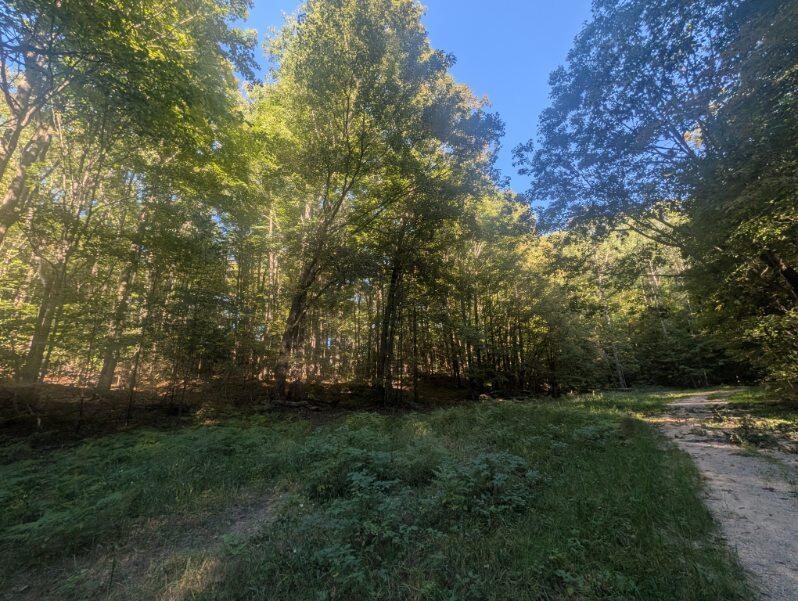 Photo 1 of Land for sale at V/l Lewis Rd, East Jordan, MI 49727 | MLS# 70561292 | Listing updated on 2026-09-29