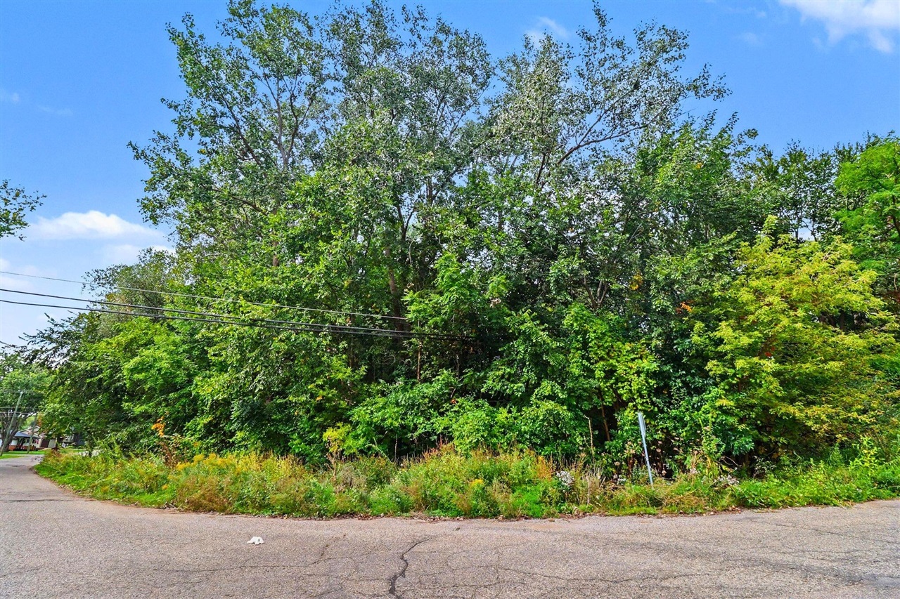 Photo 3 of Land for sale at 00000 Polvadera St, Commerce Township, MI 48382 | MLS# 70561314 | Listing updated on 2026-09-28