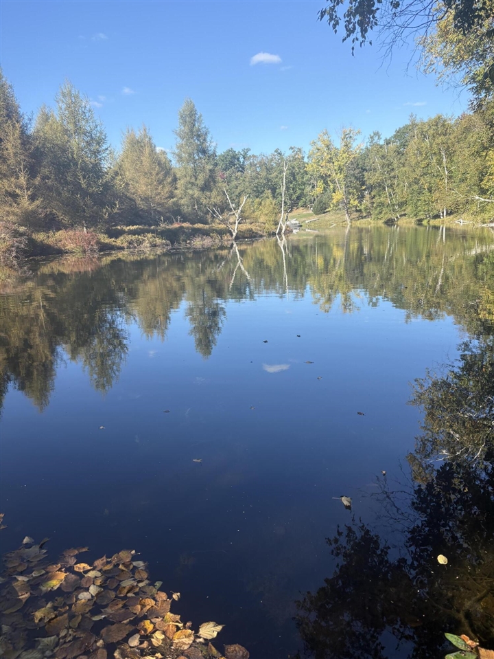 Photo 1 of Land for sale at 9025 Boggie Dr, Canadian Lakes, MI 49346 | MLS# 70561360 | Listing updated on 2026-09-29