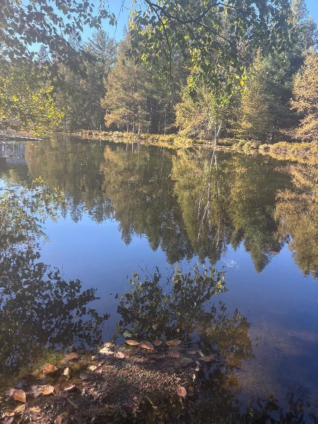 Photo 3 of Land for sale at 9025 Boggie Dr, Canadian Lakes, MI 49346 | MLS# 70561360 | Listing updated on 2026-09-29