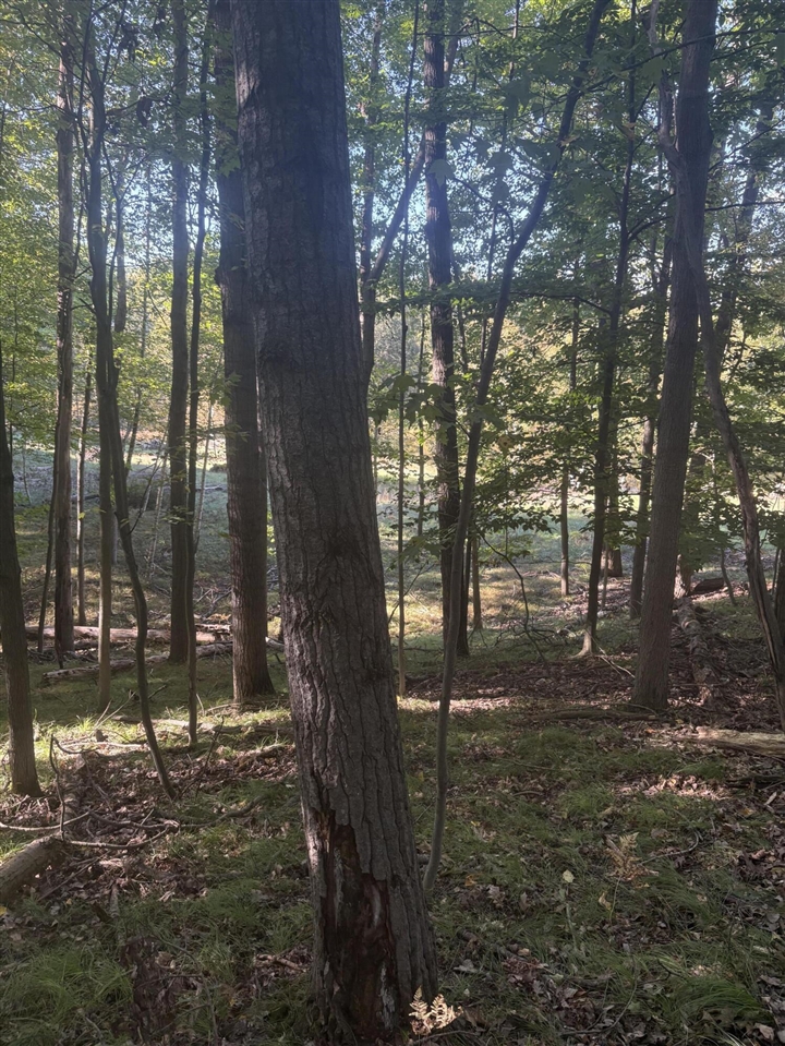 Photo 3 of Land for sale at 9025 Boggie Dr, Canadian Lakes, MI 49346 | MLS# 70561360 | Listing updated on 2026-09-29