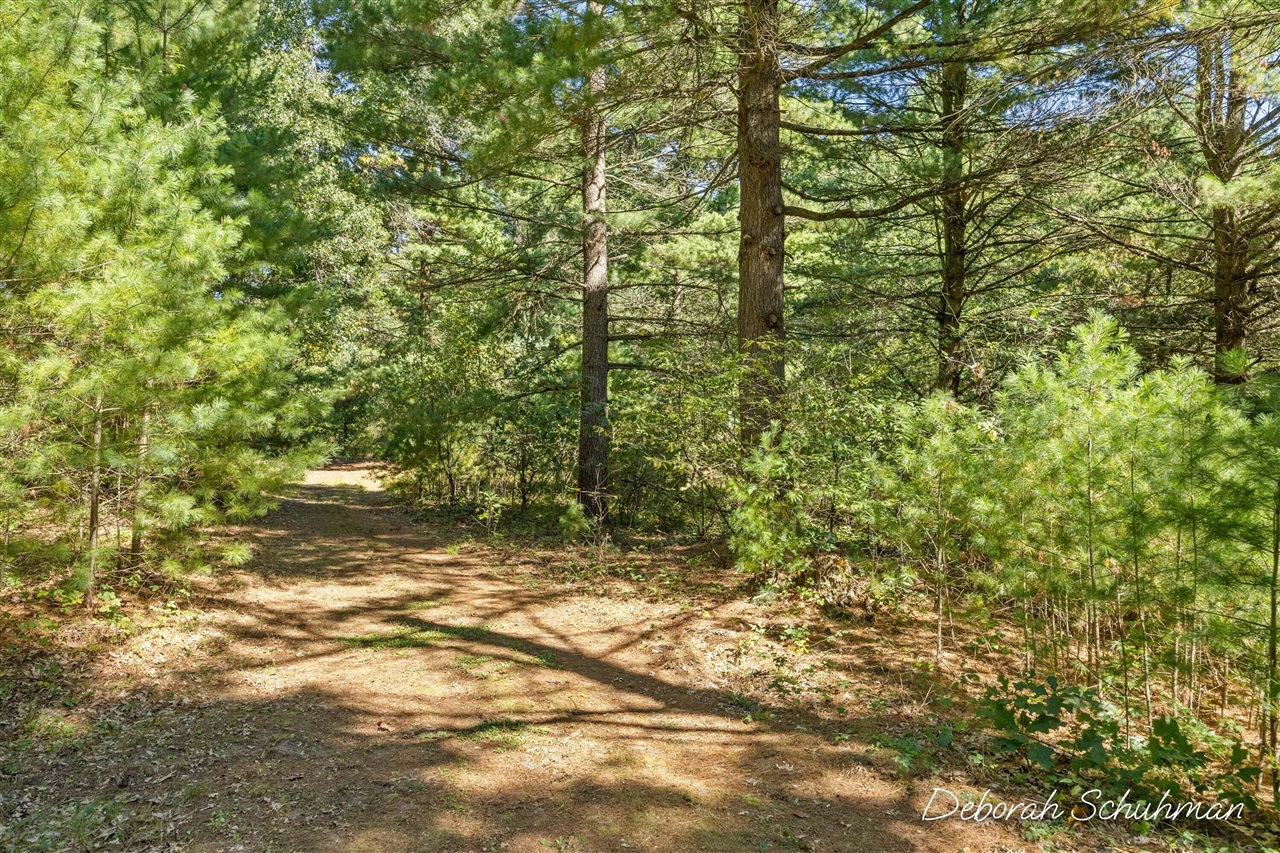 Photo 3 of Land for sale at 5277 E 28th Street, White Cloud, MI 49349 | MLS# 70561370 | Listing updated on 2026-10-06