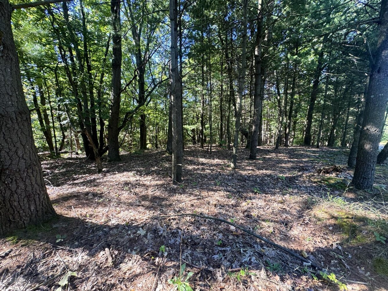 Photo 3 of Land for sale at 8099 Courtland Dr, Rockford, MI 49341 | MLS# 70561389 | Listing updated on 2026-10-06