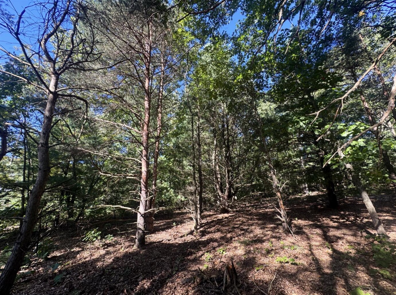 Photo 4 of Land for sale at 8099 Courtland Dr, Rockford, MI 49341 | MLS# 70561389 | Listing updated on 2026-10-06