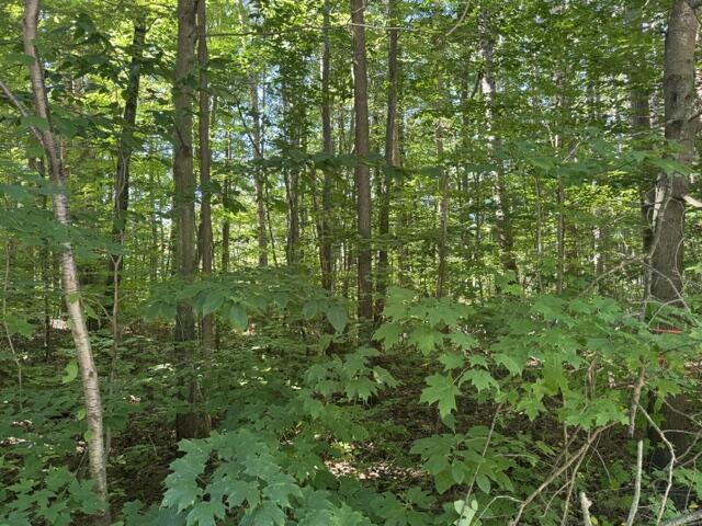 Land for sale at 5818 Hunters Ridge, Fennville, MI 49408 | MLS# 70561400