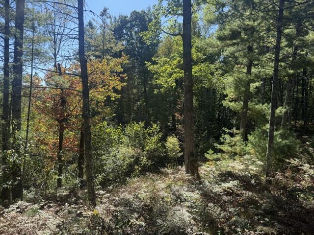 Land for sale at Vl Bagnall Ave, Baldwin, MI 49304 | MLS# 70561406
