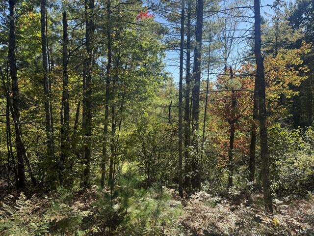 Photo 1 of Land for sale at Vl Bagnall Ave, Baldwin, MI 49304 | MLS# 70561406 | Listing updated on 2026-10-02