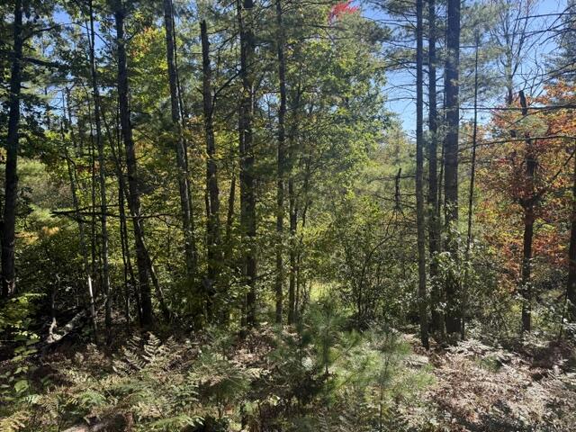 Photo 2 of Land for sale at Vl Bagnall Ave, Baldwin, MI 49304 | MLS# 70561406 | Listing updated on 2026-10-02