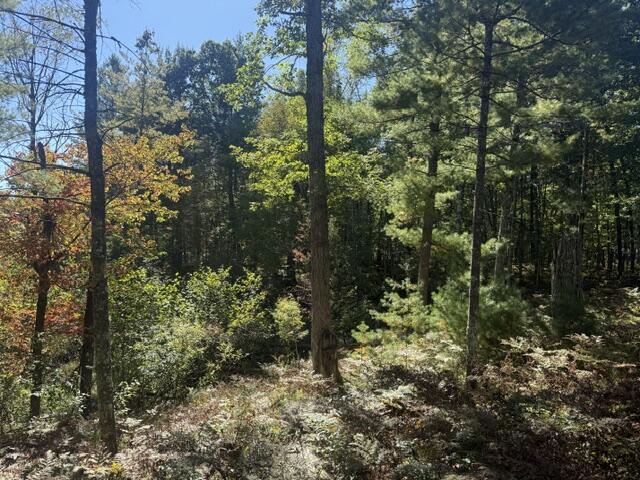 Photo 3 of Land for sale at Vl Bagnall Ave, Baldwin, MI 49304 | MLS# 70561406 | Listing updated on 2026-10-02