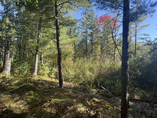 Photo 4 of Land for sale at Vl Bagnall Ave, Baldwin, MI 49304 | MLS# 70561406 | Listing updated on 2026-10-02