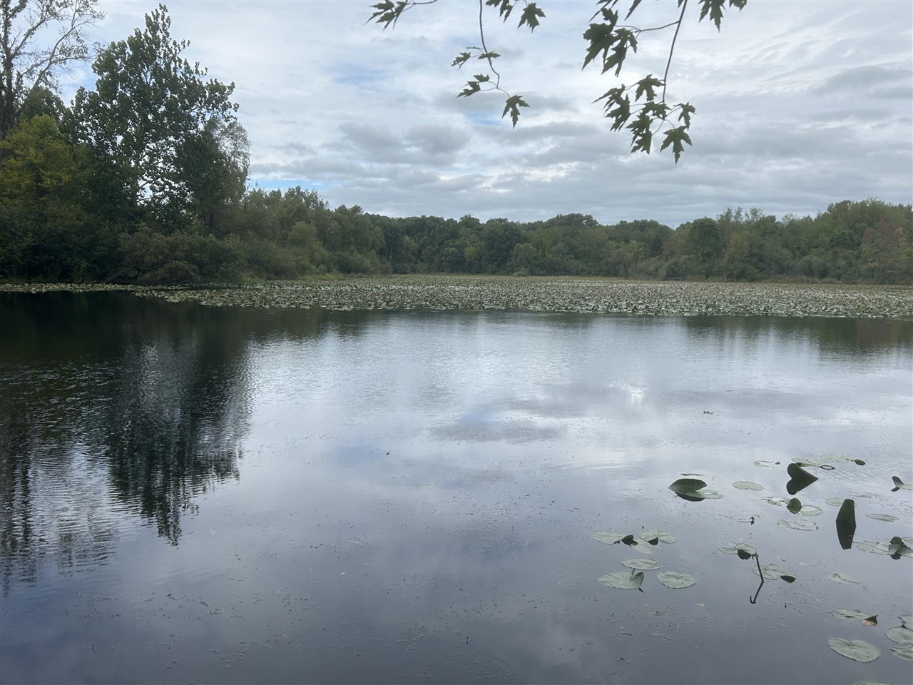 Photo 1 of Land for sale at Susan Ave, Kalamazoo, MI 49048 | MLS# 70561535 | Listing updated on 2026-09-29