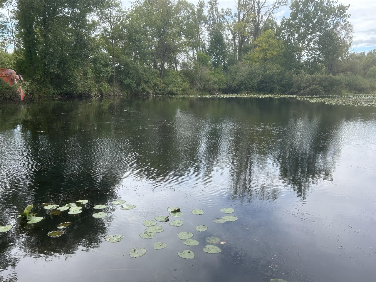 Photo 2 of Land for sale at Susan Ave, Kalamazoo, MI 49048 | MLS# 70561535 | Listing updated on 2026-09-29