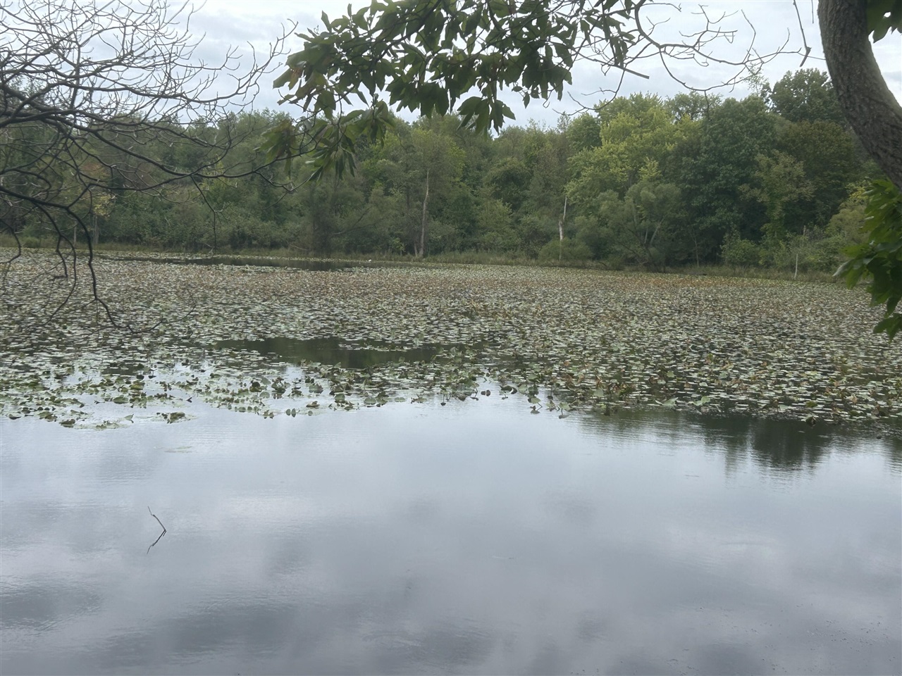 Photo 3 of Land for sale at Susan Ave, Kalamazoo, MI 49048 | MLS# 70561535 | Listing updated on 2026-09-29