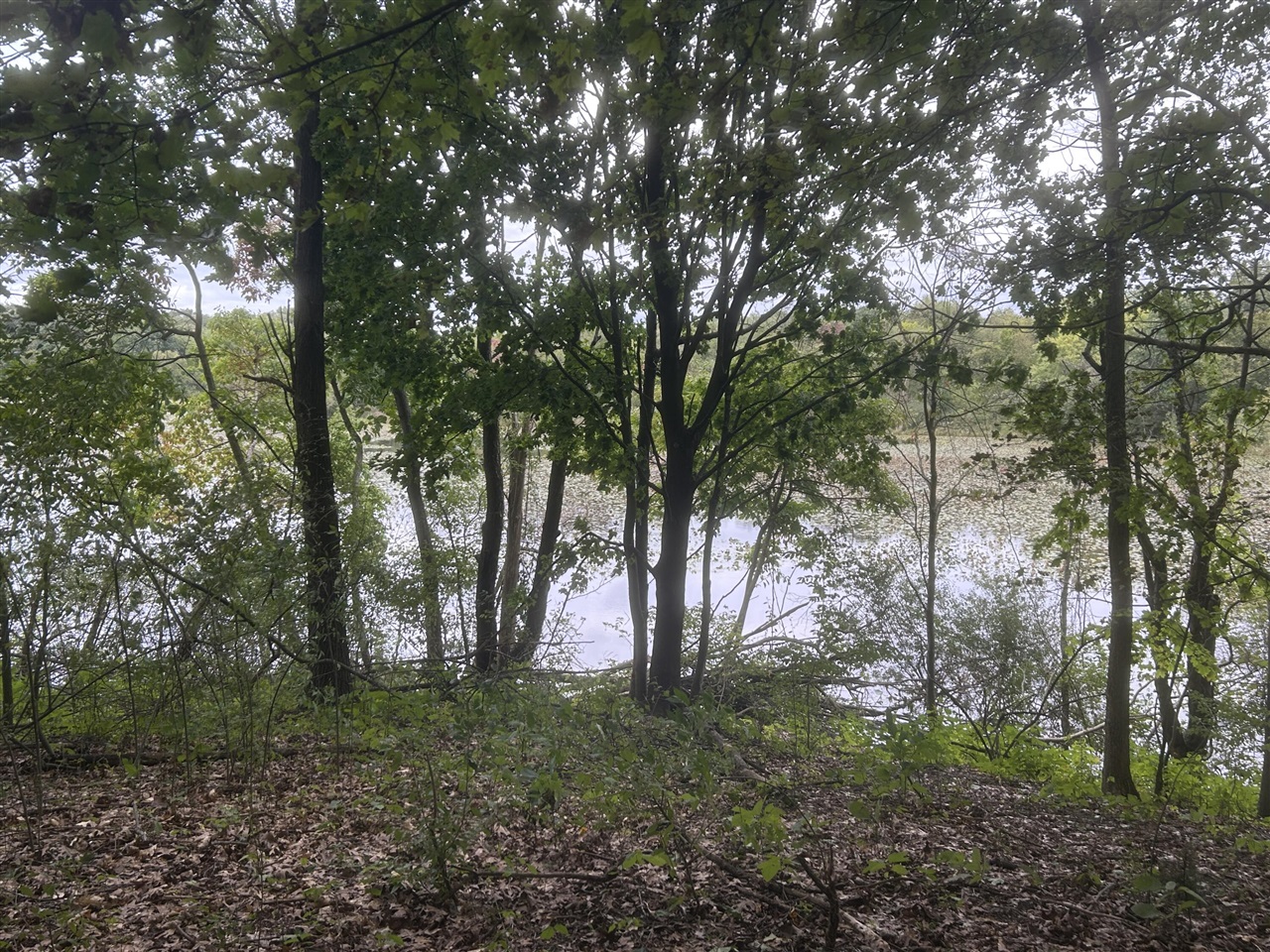 Photo 3 of Land for sale at Susan Ave, Kalamazoo, MI 49048 | MLS# 70561535 | Listing updated on 2026-09-29