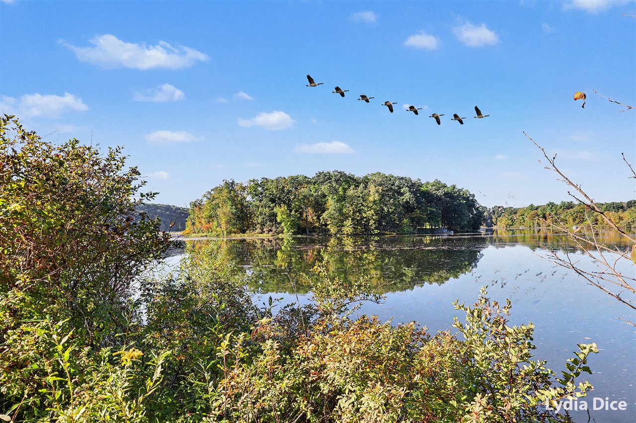 Land for sale at 780 Montcalm Ave, Lowell, MI 49331 | MLS# 70561613