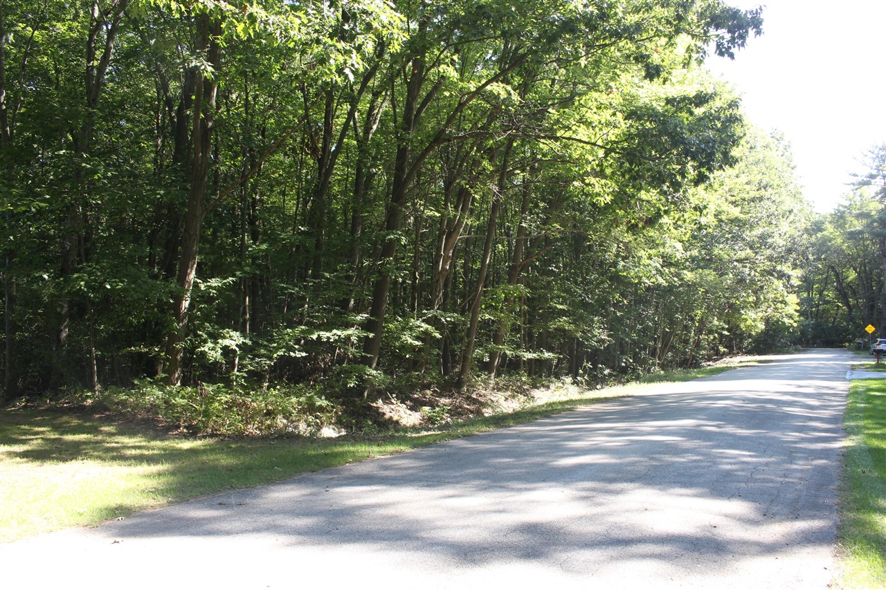 Photo 2 of Land for sale at V/l 426a Madsen Rd, Birch Run, MI 48415 | MLS# 70561945 | Listing updated on 2026-10-01