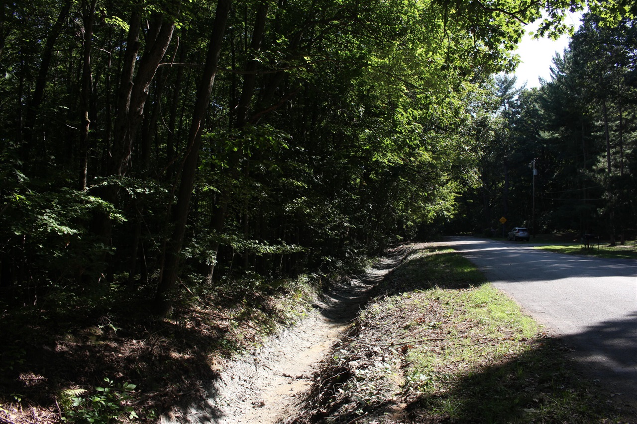 Photo 3 of Land for sale at V/l 426a Madsen Rd, Birch Run, MI 48415 | MLS# 70561945 | Listing updated on 2026-10-01