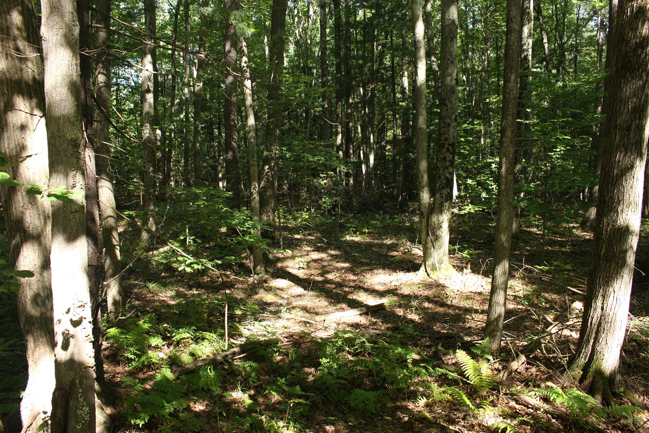 Photo 3 of Land for sale at V/l 426a Madsen Rd, Birch Run, MI 48415 | MLS# 70561945 | Listing updated on 2026-10-01