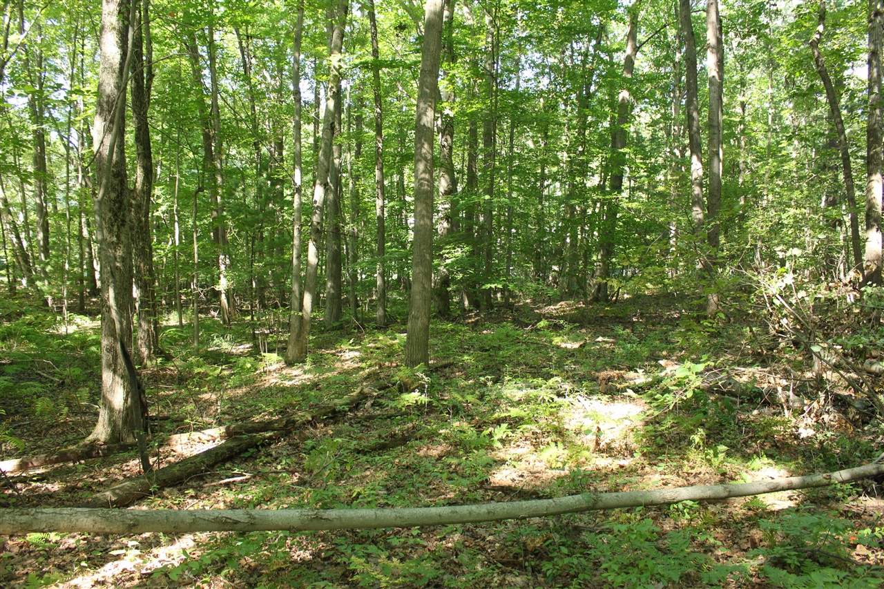 Photo 4 of Land for sale at V/l 426a Madsen Rd, Birch Run, MI 48415 | MLS# 70561945 | Listing updated on 2026-10-01