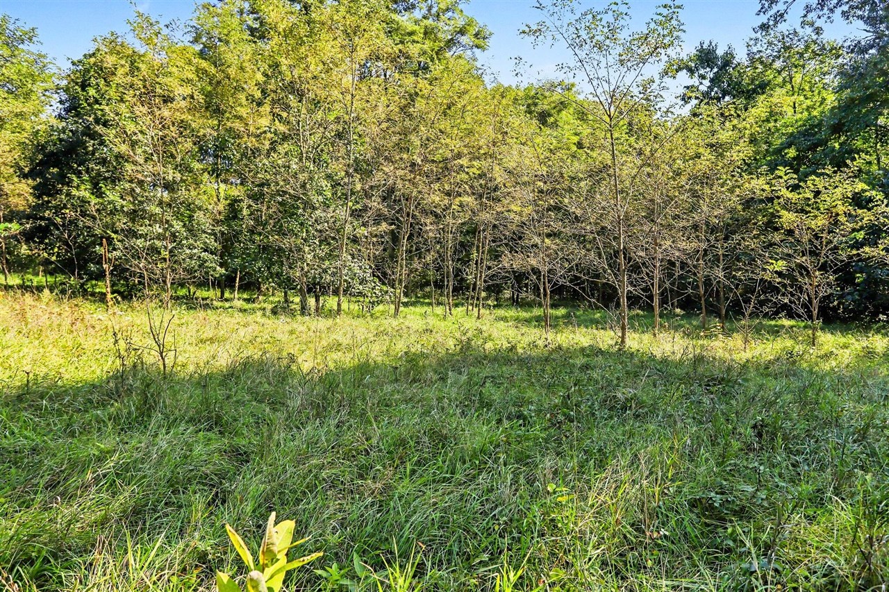 Photo 3 of Land for sale at 00000 Hoshel Rd, Three Rivers, MI 49093 | MLS# 70562160 | Listing updated on 2026-10-02