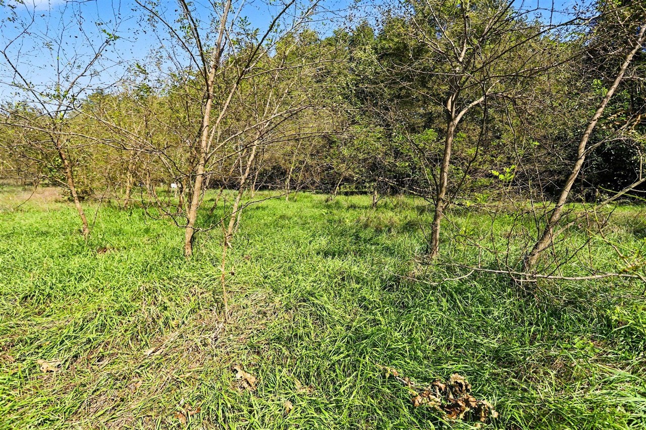 Photo 4 of Land for sale at 00000 Hoshel Rd, Three Rivers, MI 49093 | MLS# 70562160 | Listing updated on 2026-10-02