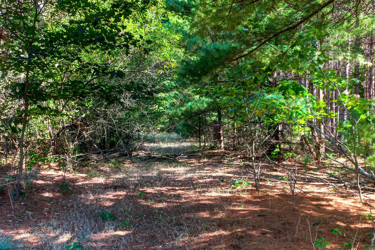 Photo 4 of Land for sale at 8500 N 80th Avenue, Pentwater, MI 49449 | MLS# 70562220 | Listing updated on 2026-10-06