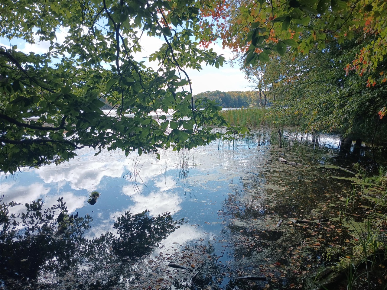 Photo 1 of Land for sale at W Nurnberg Rd, Free Soil, MI 49411 | MLS# 70562316 | Listing updated on 2026-10-05