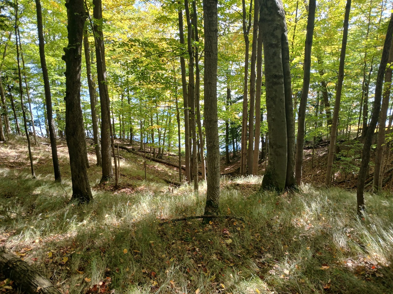 Photo 3 of Land for sale at W Nurnberg Rd, Free Soil, MI 49411 | MLS# 70562316 | Listing updated on 2026-10-05