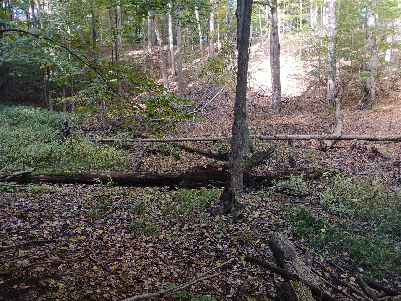 Photo 3 of Land for sale at W Nurnberg Rd, Free Soil, MI 49411 | MLS# 70562316 | Listing updated on 2026-10-05