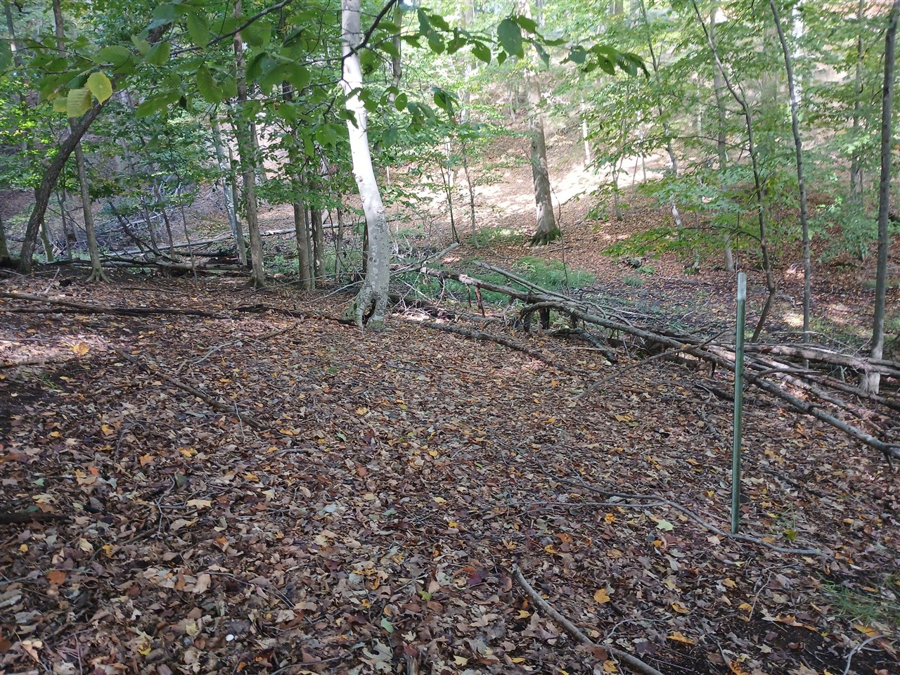 Photo 4 of Land for sale at W Nurnberg Rd, Free Soil, MI 49411 | MLS# 70562316 | Listing updated on 2026-10-05