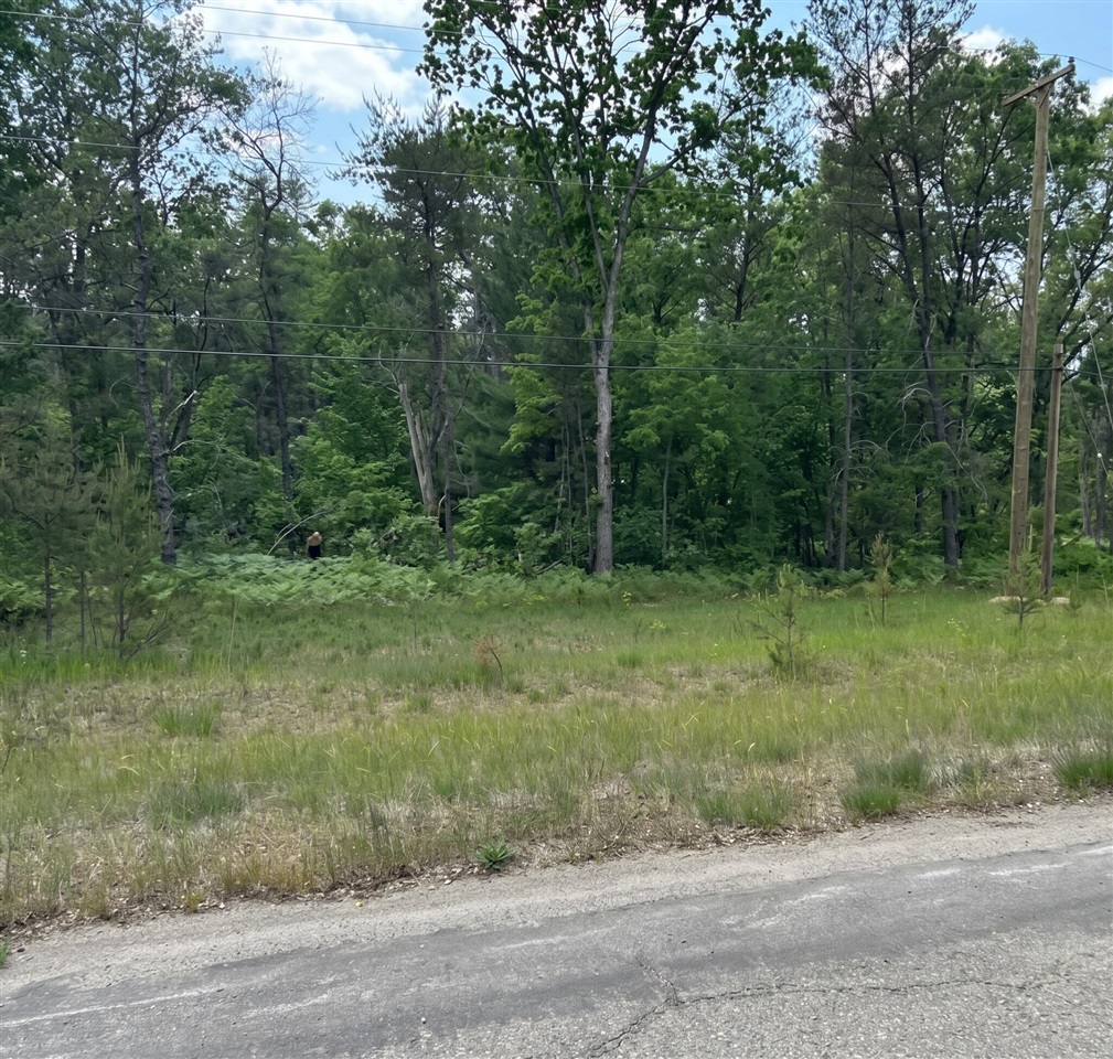 Land for sale at 3188 S Yale Ave, Baldwin, MI 49304 | MLS# 70562334