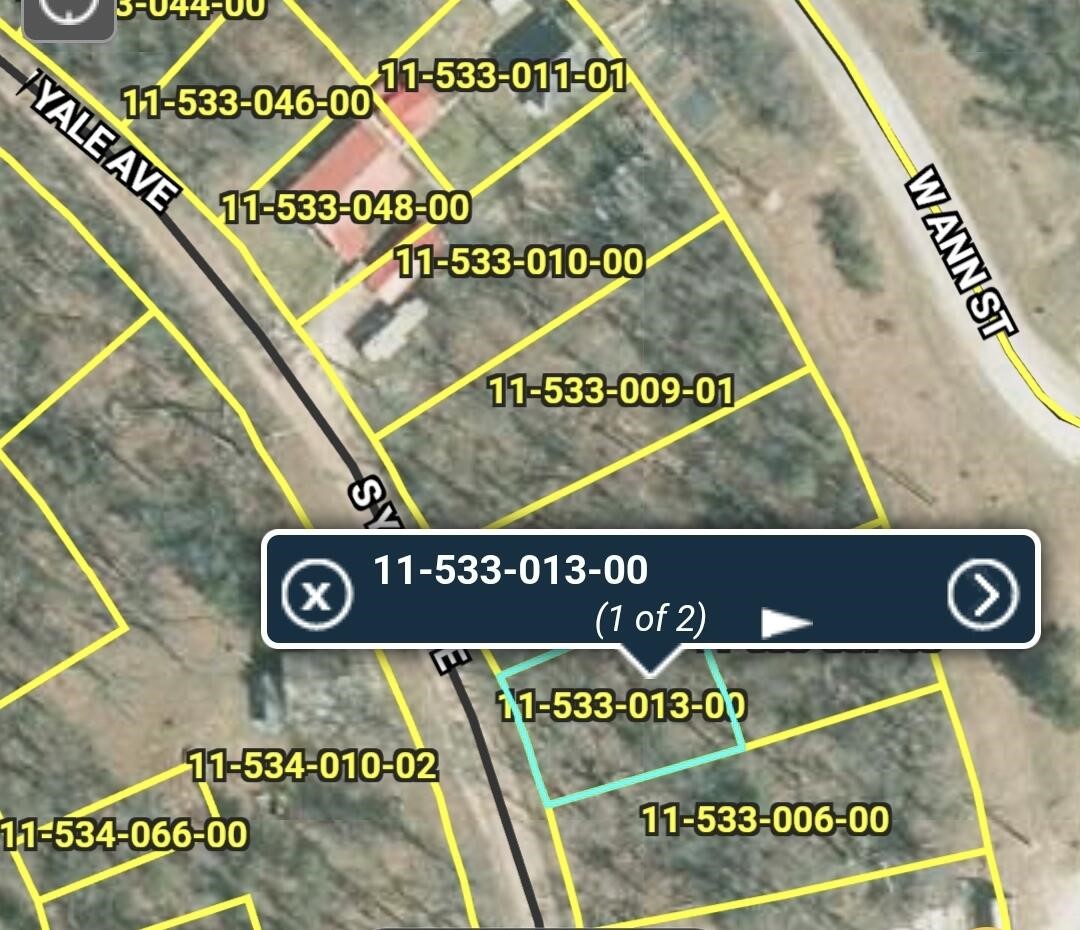 Photo 2 of Land for sale at 3188 S Yale Ave, Baldwin, MI 49304 | MLS# 70562334 | Listing updated on 2026-10-02