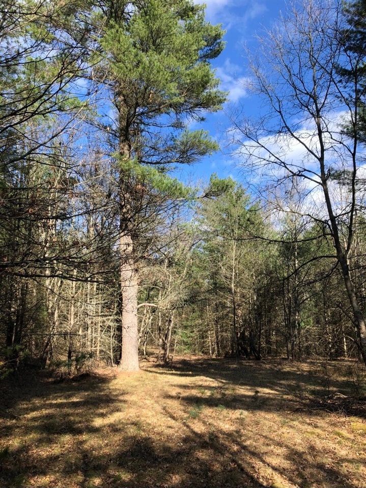 Photo 1 of Land for sale at Nw Dalson Rd, Holton, MI 49425 | MLS# 70562366 | Listing updated on 2026-10-05