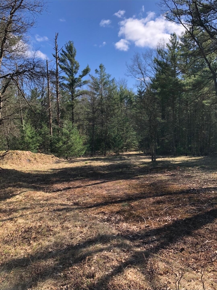 Photo 3 of Land for sale at Nw Dalson Rd, Holton, MI 49425 | MLS# 70562366 | Listing updated on 2026-10-05