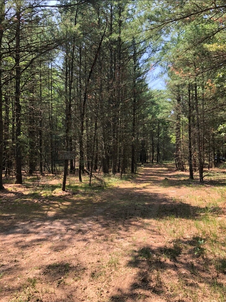 Photo 3 of Land for sale at NW Dalson Rd, Holton, MI 49425 | MLS# 70562366 | Listing updated on 2026-10-05
