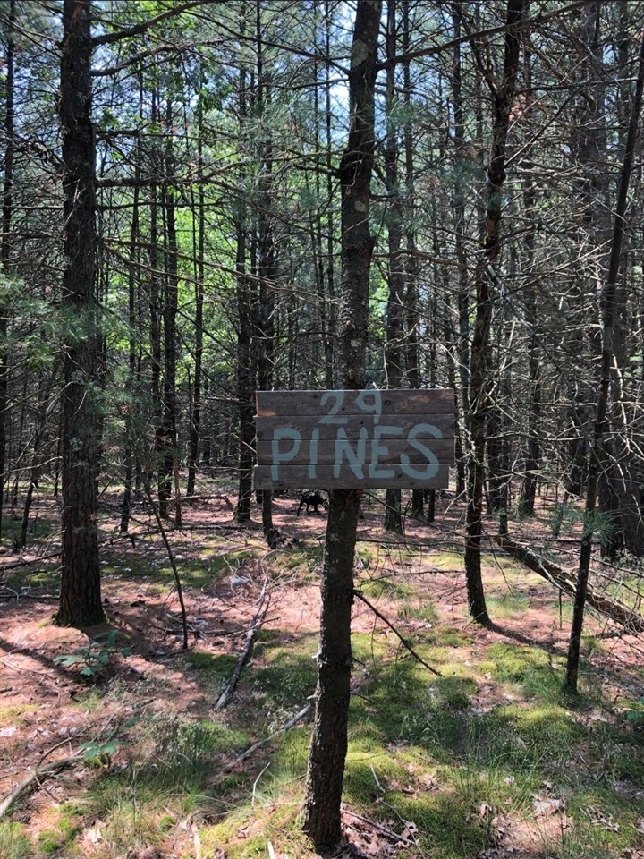 Photo 4 of Land for sale at NW Dalson Rd, Holton, MI 49425 | MLS# 70562366 | Listing updated on 2026-10-05