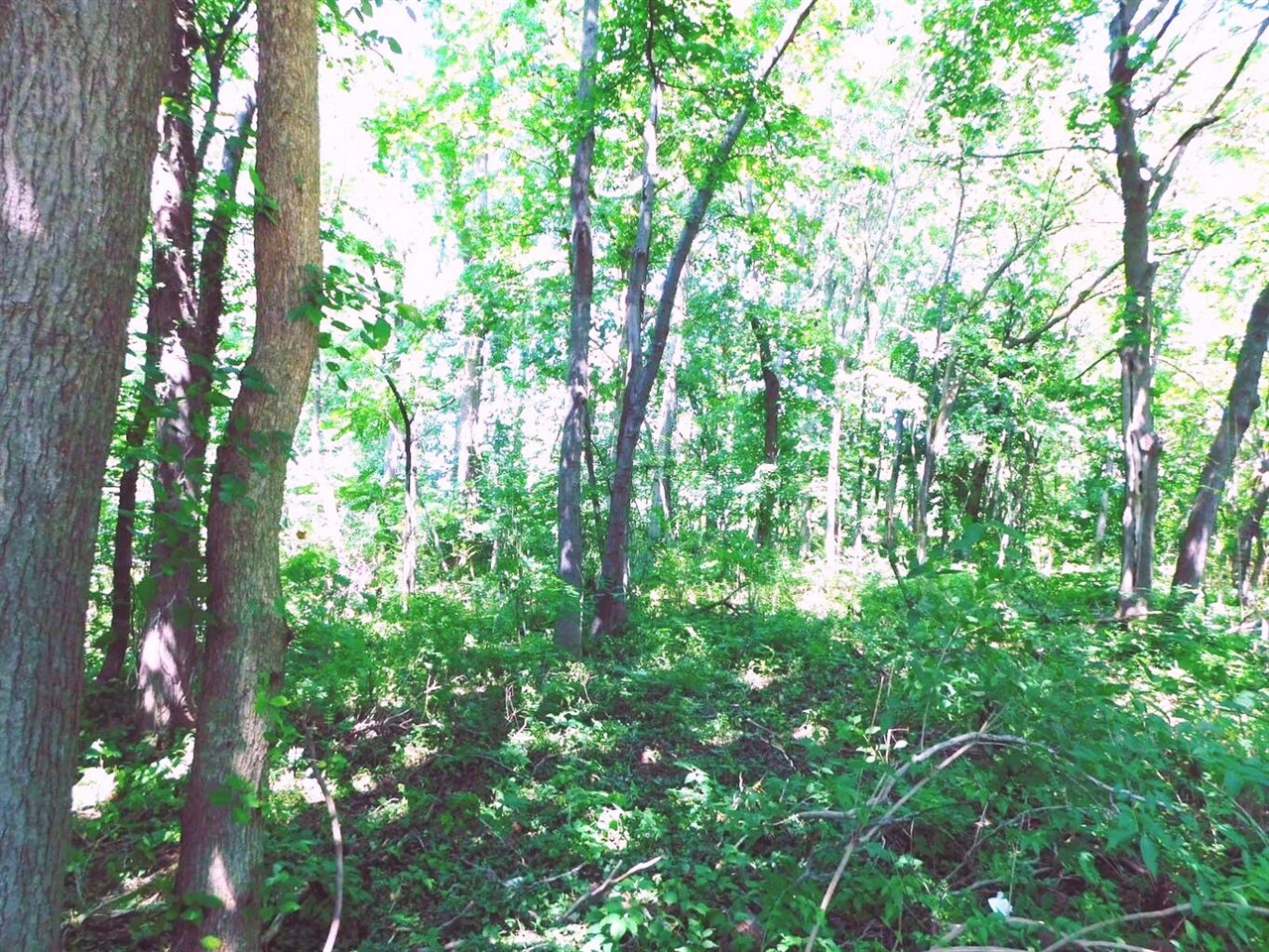 Photo 3 of Land for sale at E Napier Ave, Benton Harbor, MI 49022 | MLS# 70562376 | Listing updated on 2026-10-03