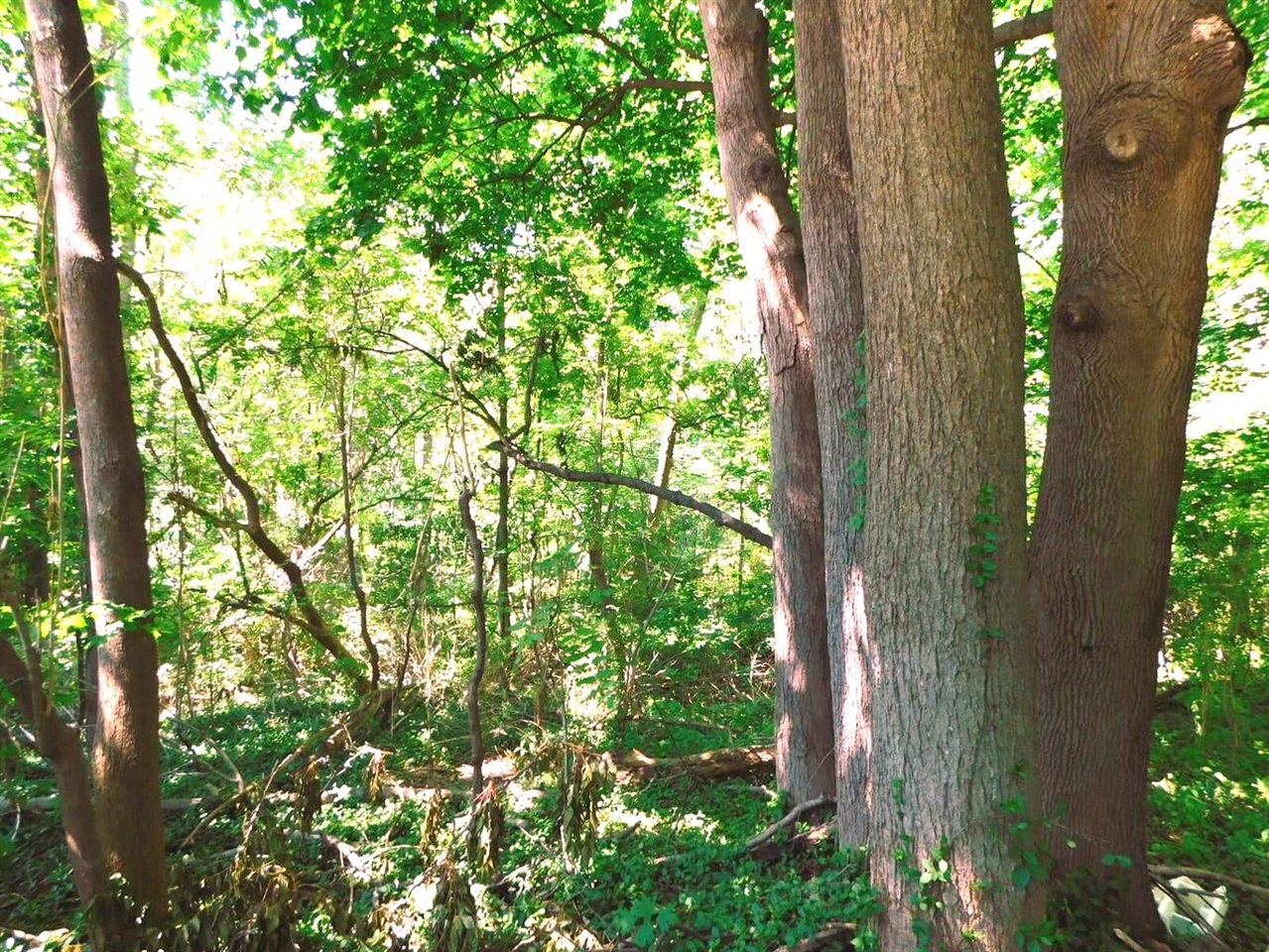 Photo 4 of Land for sale at E Napier Ave, Benton Harbor, MI 49022 | MLS# 70562376 | Listing updated on 2026-10-03