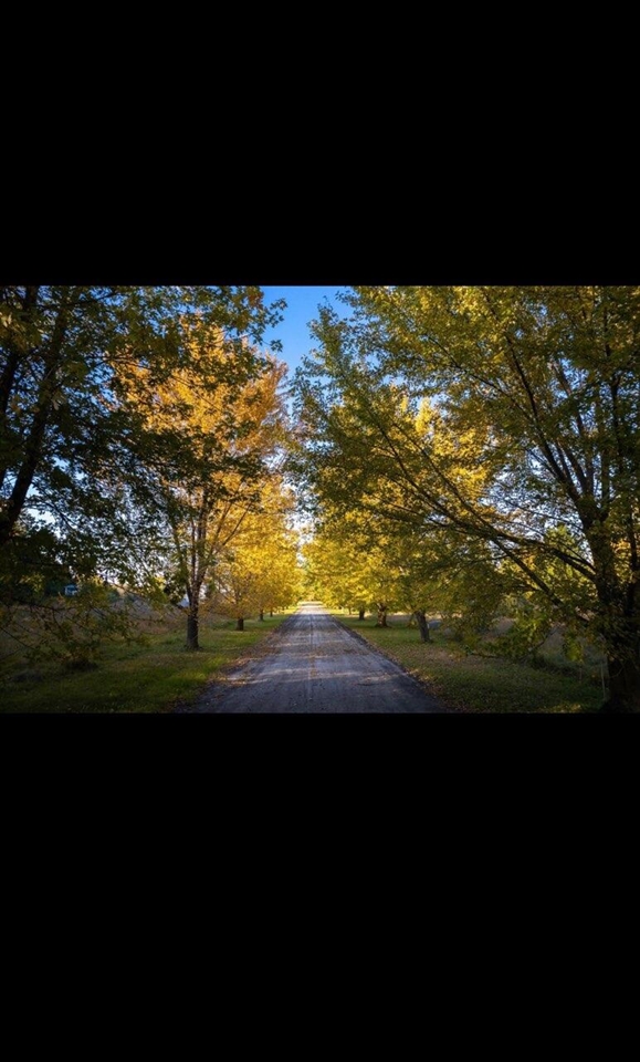 Photo 2 of Land for sale at 2697 Peachtree Ln, Benton Harbor, MI 49022 | MLS# 70562405 | Listing updated on 2026-10-03