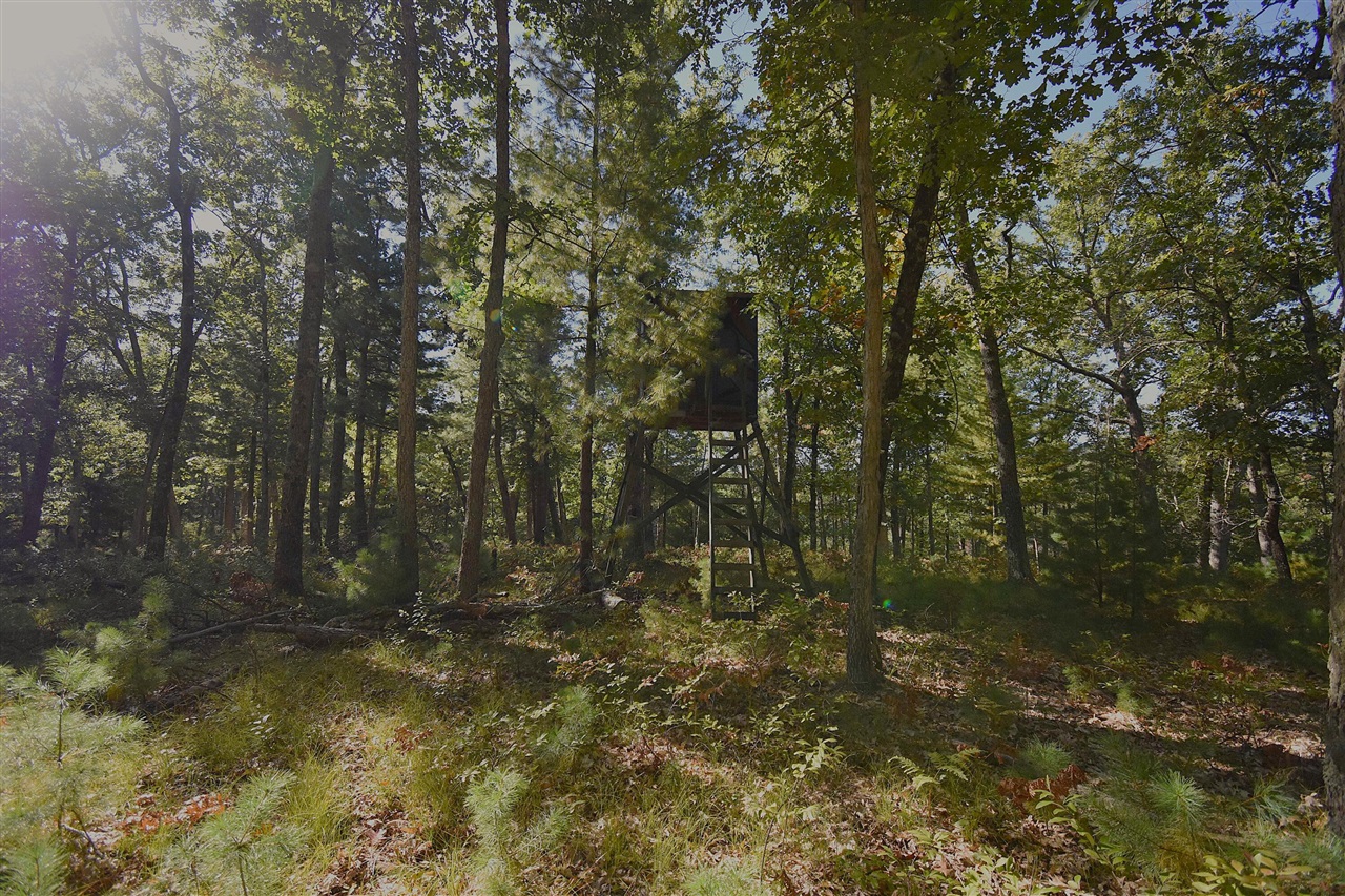 Photo 2 of Land for sale at Whitney St, Baldwin, MI 49304 | MLS# 70562498 | Listing updated on 2026-10-05