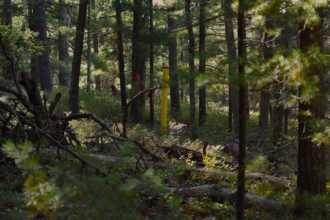 Photo 4 of Land for sale at Whitney St, Baldwin, MI 49304 | MLS# 70562498 | Listing updated on 2026-10-05