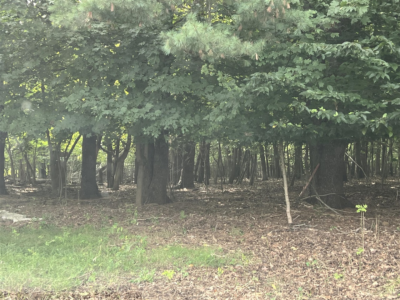 Photo 4 of Land for sale at 4575 Henry St, Norton Shores, MI 49441 | MLS# 70562533 | Listing updated on 2026-10-07
