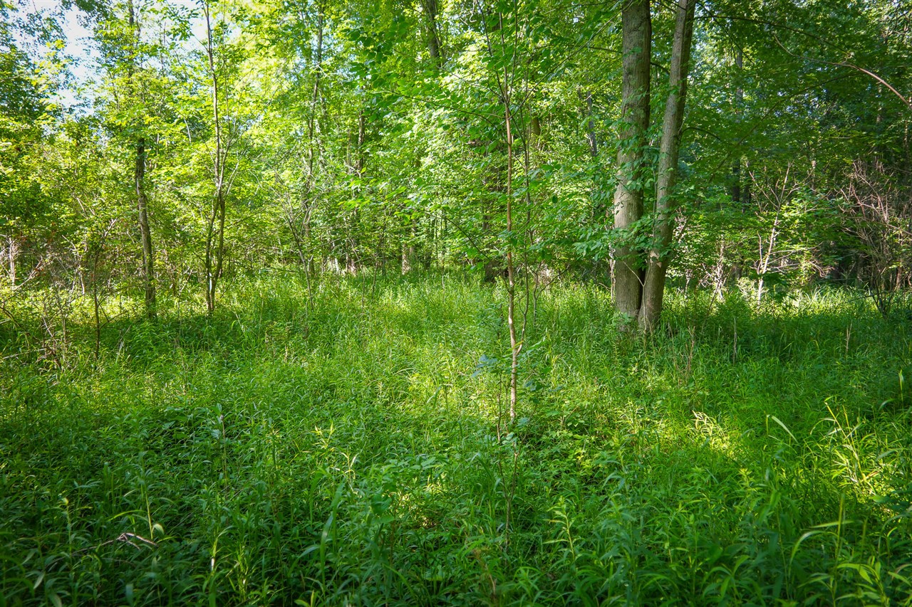 Land for sale at V/l S 12a 168th Ave, Hesperia, MI 49421 | MLS# 70562666