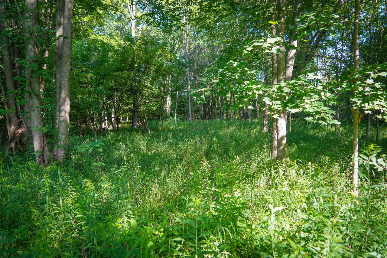 Photo 1 of Land for sale at V/l S 12a 168th Ave, Hesperia, MI 49421 | MLS# 70562666 | Listing updated on 2026-10-05