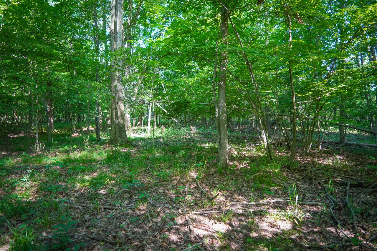 Photo 2 of Land for sale at V/l S 12a 168th Ave, Hesperia, MI 49421 | MLS# 70562666 | Listing updated on 2026-10-05
