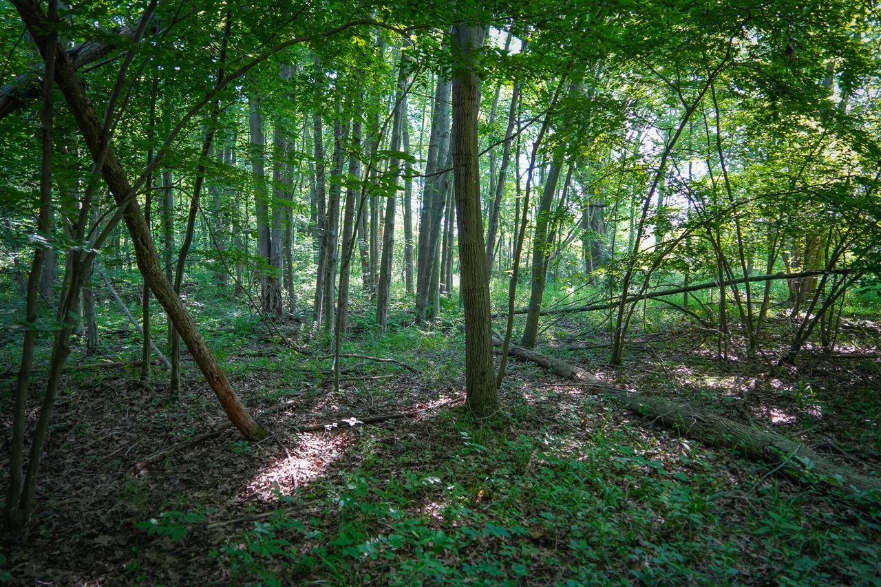 Photo 3 of Land for sale at V/l S 12a 168th Ave, Hesperia, MI 49421 | MLS# 70562666 | Listing updated on 2026-10-05